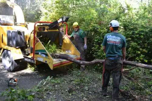 tree services Pisgah